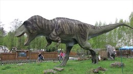 Phát hiện loài khủng long ăn thịt khổng lồ mới từng tồn tại ở miền Nam châu Phi